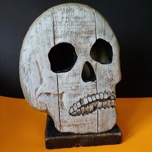 Light Up Halloween Skull Decoration